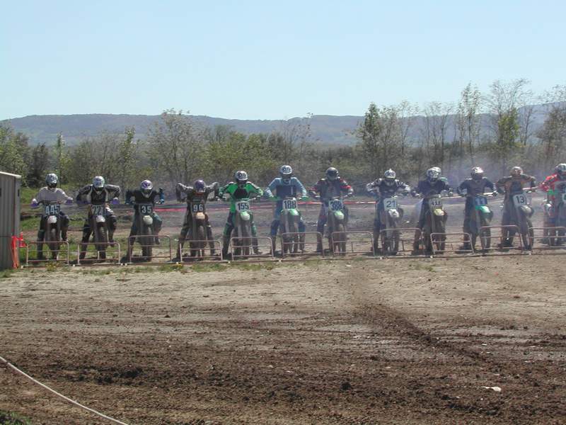 Sezegnin5_apr05.jpg