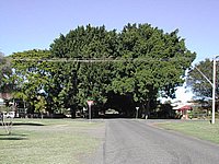 DSCN2307.JPG