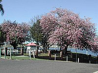 DSCN2309.JPG