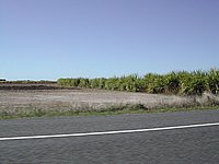 DSCN2312.JPG