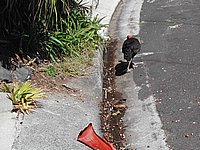 DSCN2357.JPG
