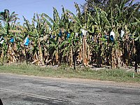 DSCN2360.JPG