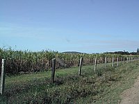 DSCN2361.JPG