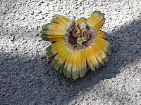DSCN2409.JPG