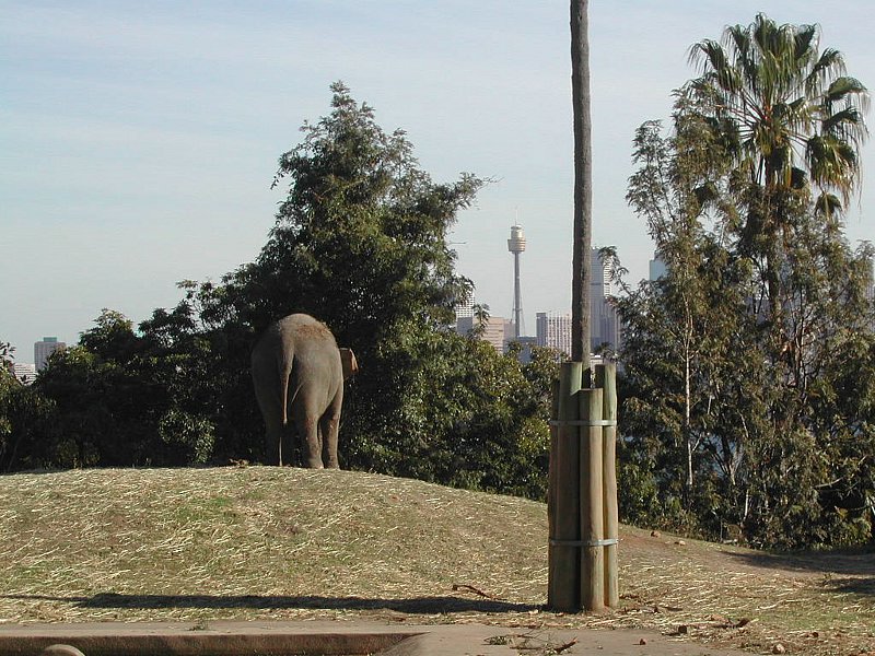 DSCN1837.JPG