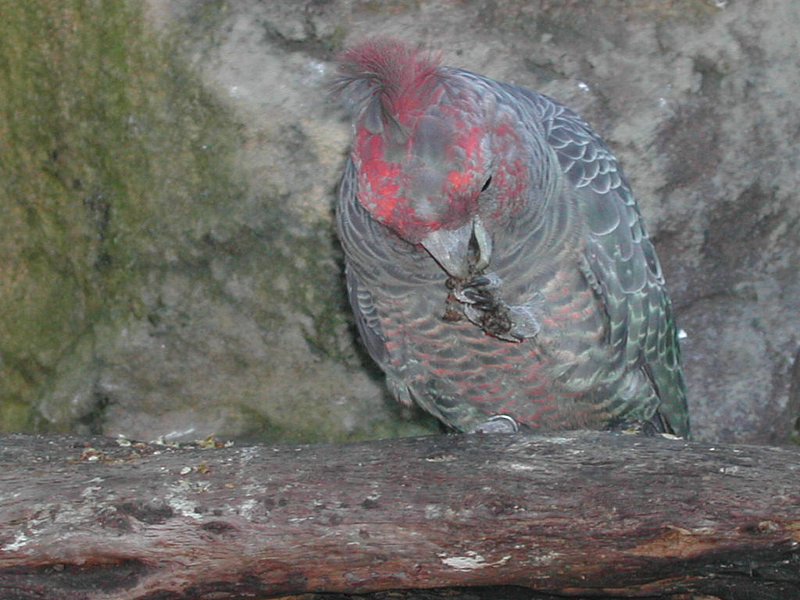 DSCN1844.JPG