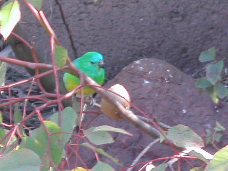 DSCN1849.JPG