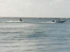 dscn5160_small.jpg