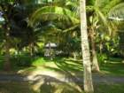 dscn5188_small.jpg