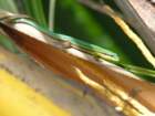 dscn5202_small.jpg