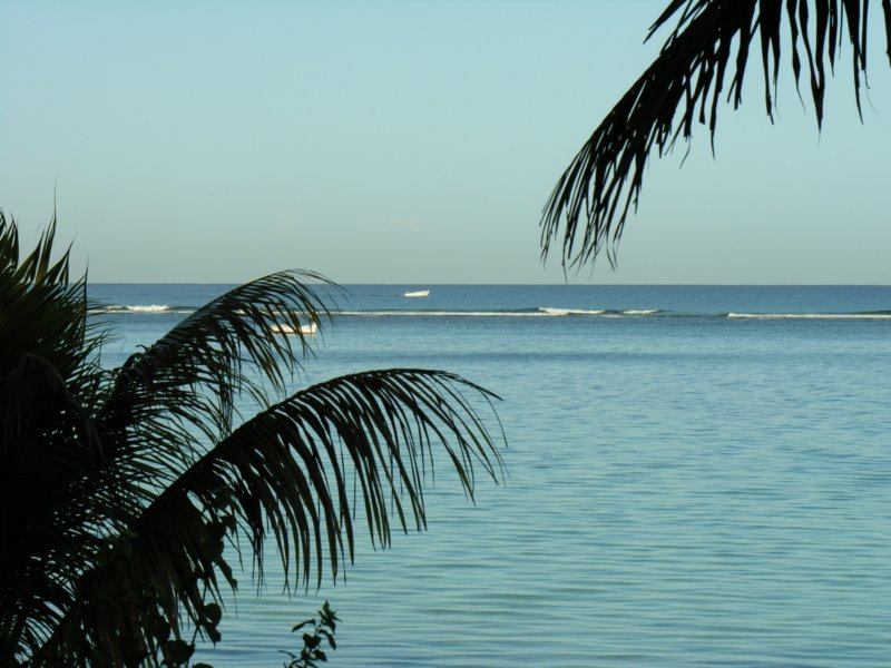 dscn5254.jpg