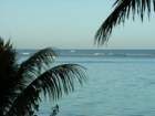 dscn5254_small.jpg