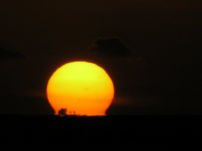 dscn5379.jpg