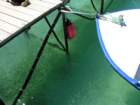dscn5409_small.jpg