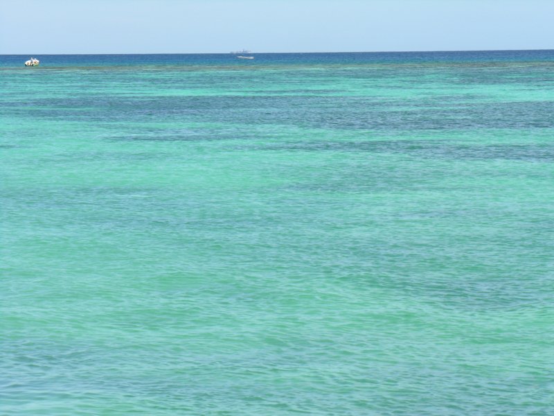 dscn5412.jpg