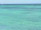 dscn5412_small.jpg