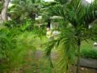 dscn5462_small.jpg