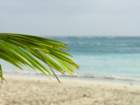 dscn5494_small.jpg
