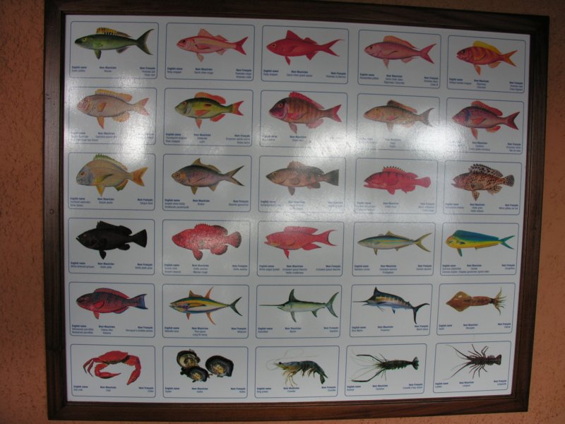 dscn5521.jpg
