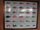 dscn5521_small.jpg