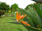 dscn5671_small.jpg