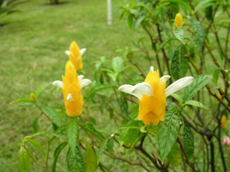 dscn5672.jpg