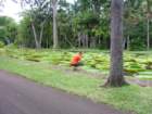 dscn5684_small.jpg
