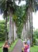 dscn5691_small.jpg