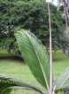 dscn5695_small.jpg