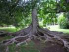 dscn5704_small.jpg