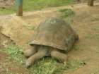 dscn5710_small.jpg