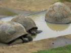 dscn5712_small.jpg