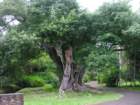 dscn5713_small.jpg