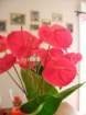 dscn5727_small.jpg