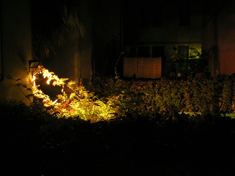DSCN7543.JPG