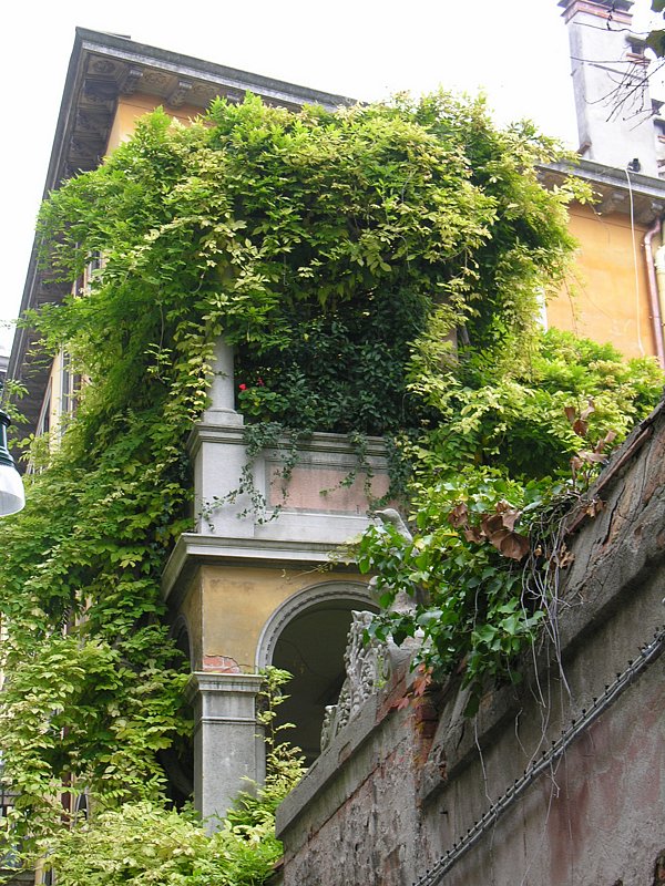 DSCN7638.JPG