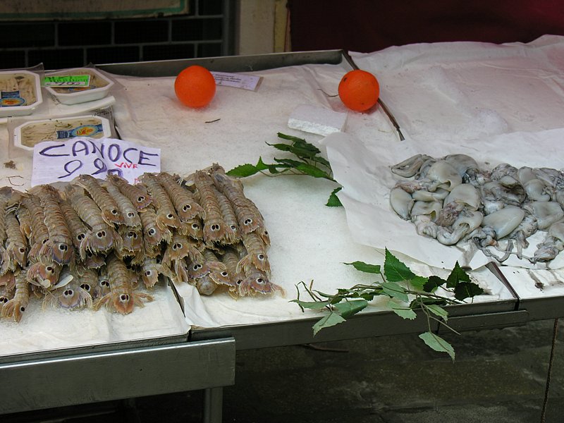 DSCN7640.JPG