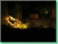 DSCN7543.JPG