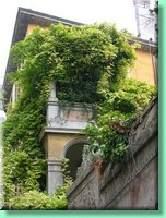 DSCN7638.JPG