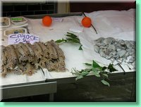 DSCN7640.JPG