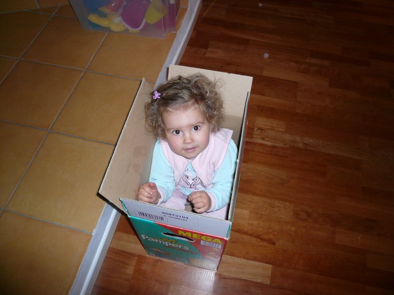 img17.JPG