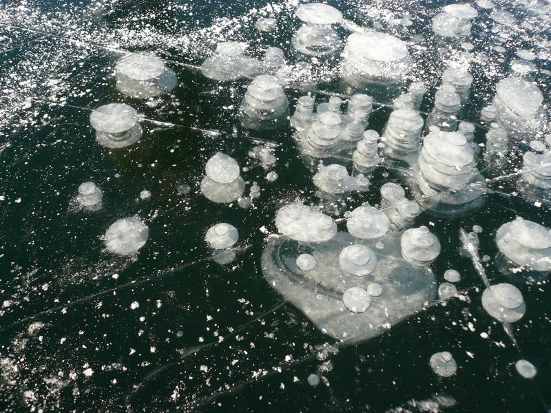 img40.JPG
