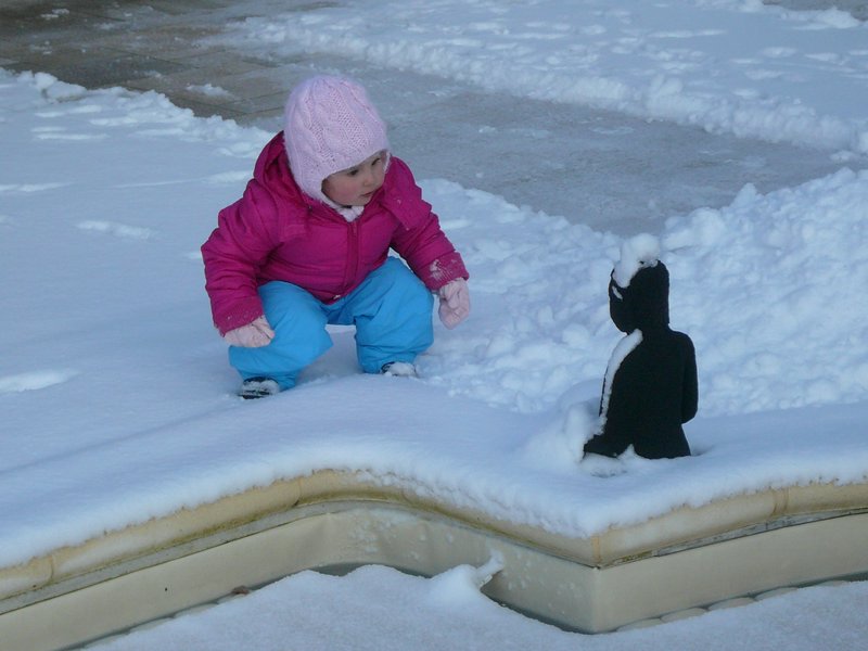 img46.JPG