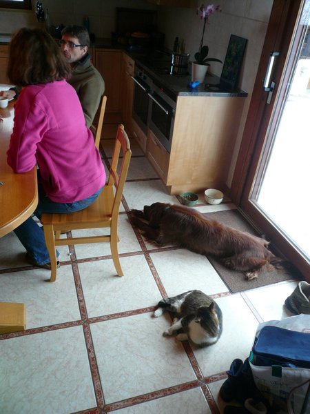 img49.JPG