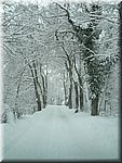 Winter10_148.JPG