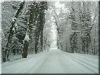 Winter10_149.JPG