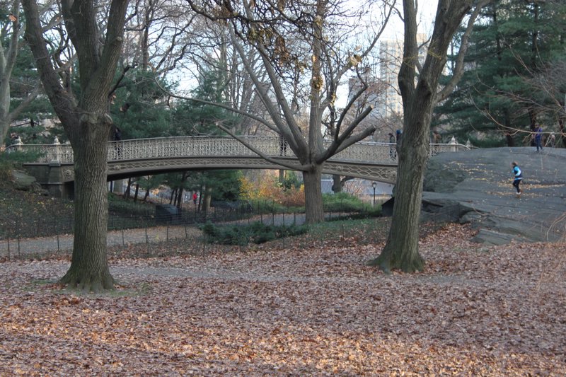 NYC_212.JPG