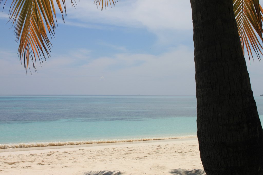 Maldives140.JPG