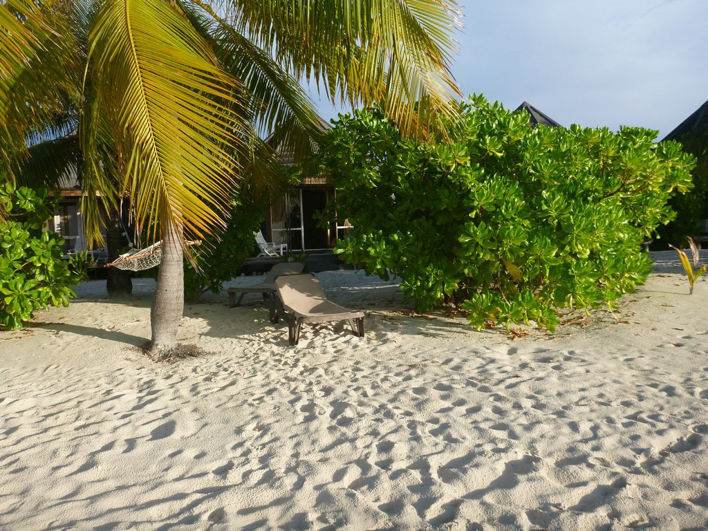 Maldives277.JPG