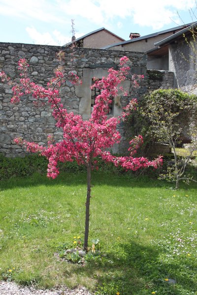 Spring12_205.JPG